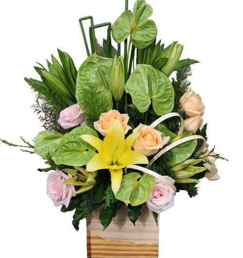 office flowers 18 500x531