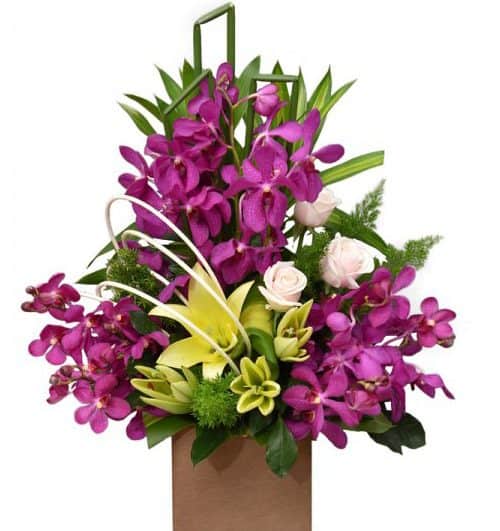 office flowers 21 500x531
