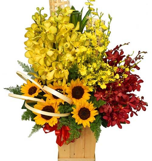 office flowers 22 500x531