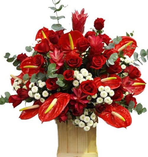 office flowers 24 500x531