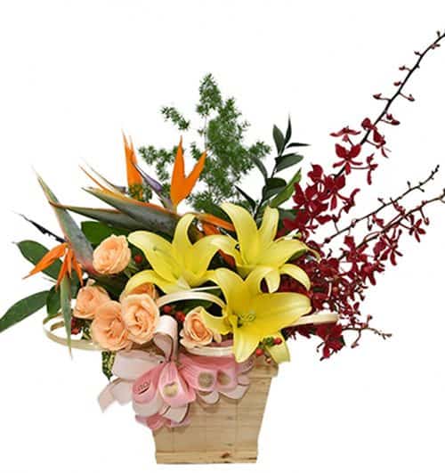 office flowers 26 500x531