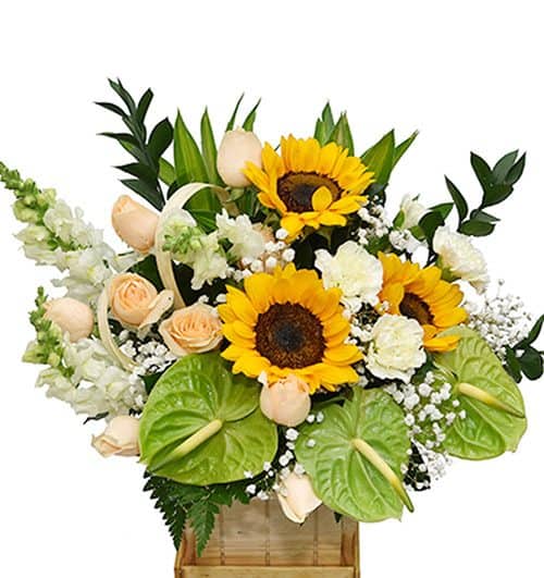 office flowers 28 500x531