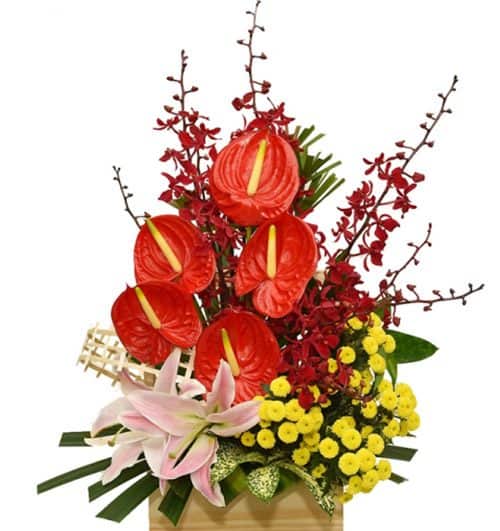 office flowers 30 500x531
