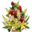 office flowers 31 500x531