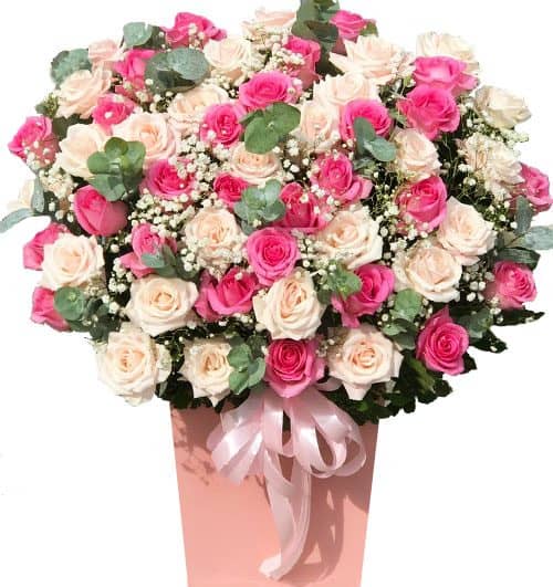 only for you 500x531