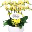 orchids for dad 001 500x531