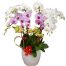 orchids for dad 05 500x605