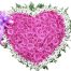 passion for purple roses 500x531