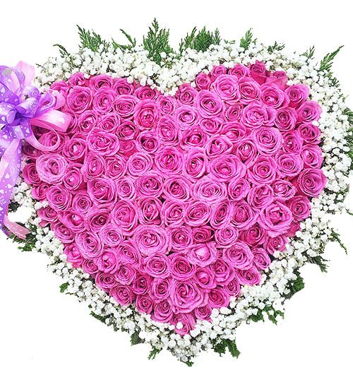 passion for purple roses 500x531