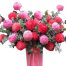 peony chrys flowers 001 500x531