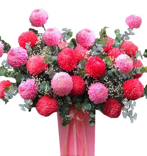 peony chrys flowers 001 500x531