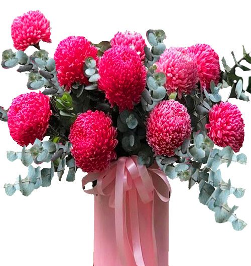 peony chrys flowers 002 500x531