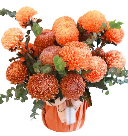 peony chrys flowers 004 500x531