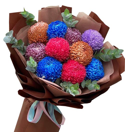 peony chrys flowers 006 500x531