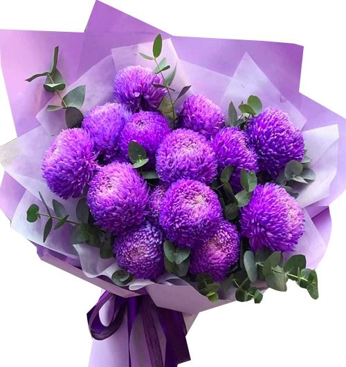 peony chrys flowers 009 500x531