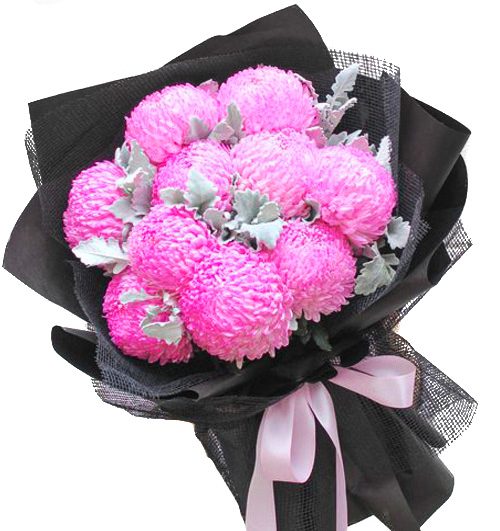peony chrys flowers 010 500x531