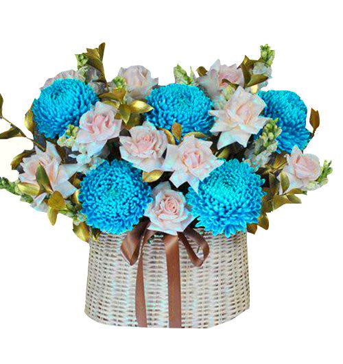 peony chrys flowers 016 500x531