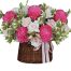 peony chrys flowers 018 500x531