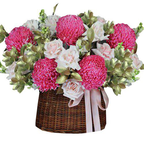 peony chrys flowers 018 500x531