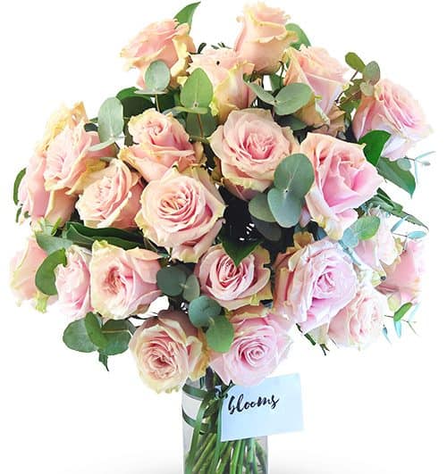 petal bloomings 500x531