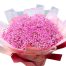 pink baby breaths flowers 500x531