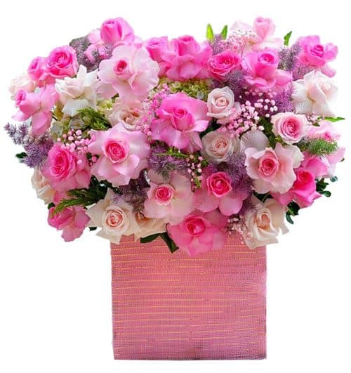 pink light 500x531