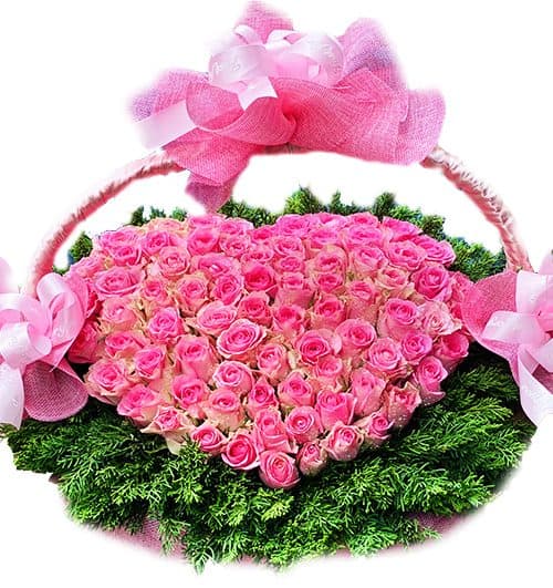 pink petal rose 500x531