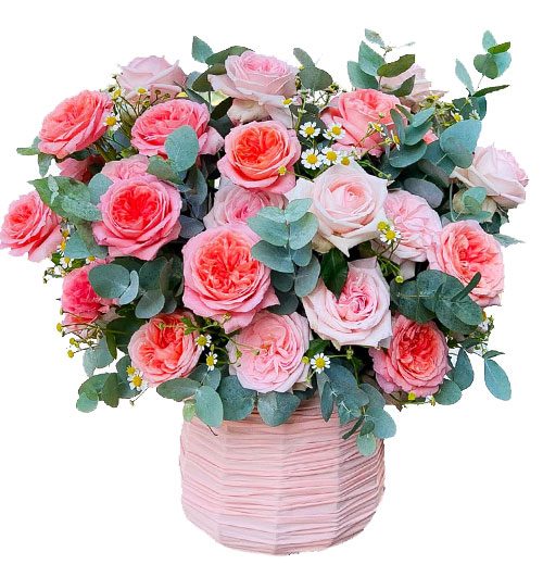 rose garden 500x531