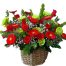 special anniversay flower 09 500x531