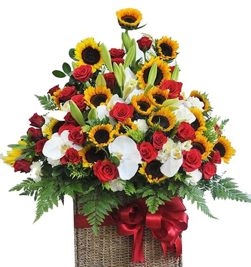 special flowers fathers day 012 500x531