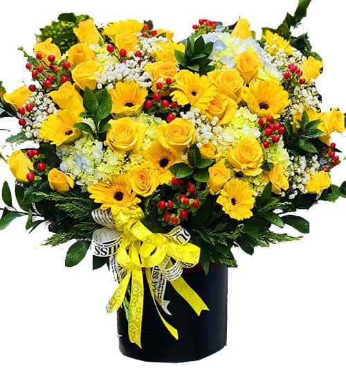 special sunshine 500x531