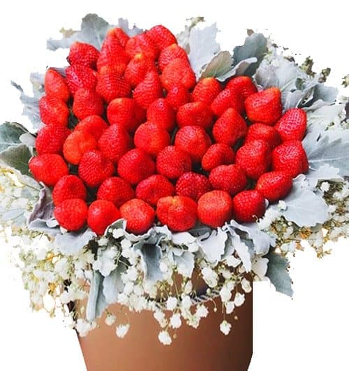 straberries basket 02 500x531