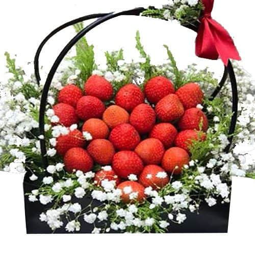 straberries basket 03 500x531