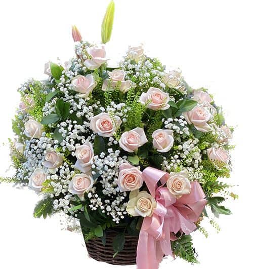 till i meet you saigon 500x531
