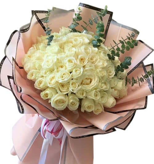 white delight 500x531
