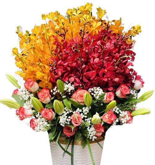 you are the reason for my happinesss 500x531
