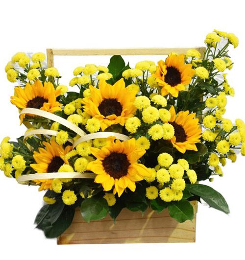 vietnamese teachers day flowers 23