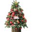 fresh christmas tree vietnam 26