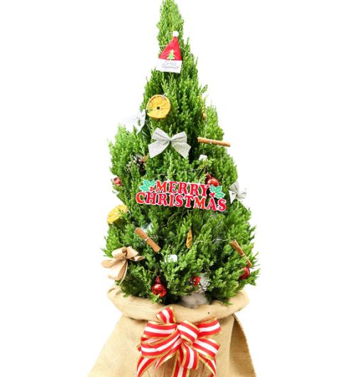 send flowers to saigon 2