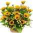 tet flowers 43a