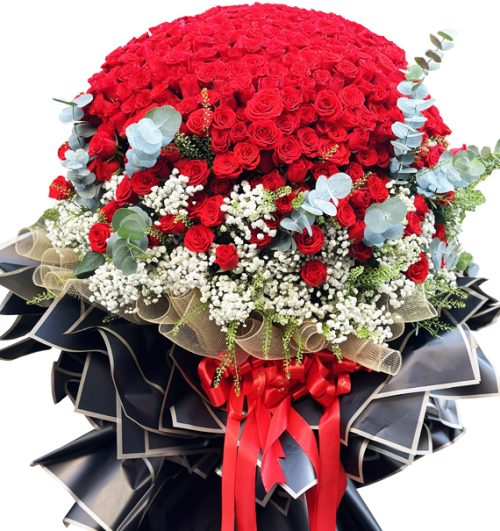 520 red roses