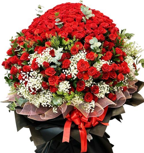 657 red roses