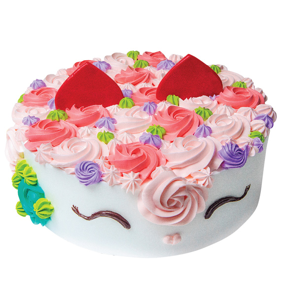 dairy queen ice cream cake 17
