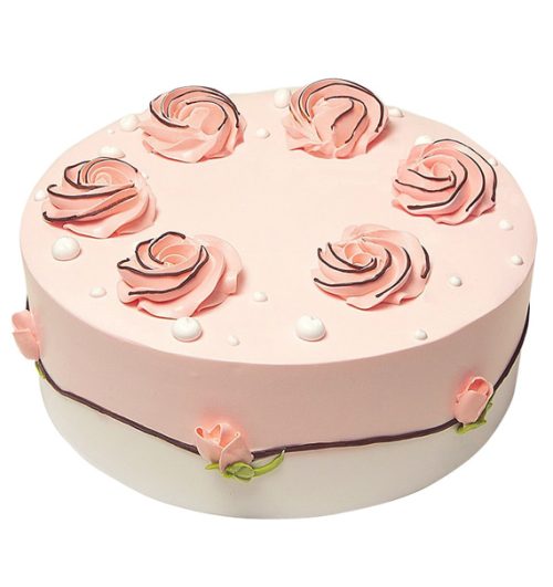 dairy queen ice cream cake 8