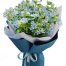 tweedia blue