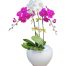 VN Women’s Day Potted Orchids 02