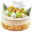 tous les jours cake 28